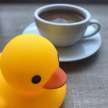 Caffeine Duck