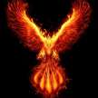 Phoenix Hart