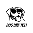 Dog DNA Test