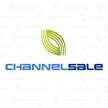 ChannelSale Software Services