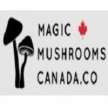 Magic Mushrooms Canada