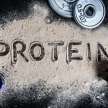 prolicious protein