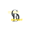 CDR Report Writer | CDR Report For Engineer | CDR Report Expert