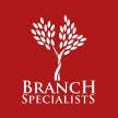 Branch Specialists Tree Service Rochester