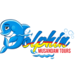 Dolphin Musandam Tours