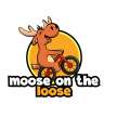 Moose On The Loose