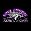 Soul Fitness