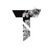 TAIJUL FF
