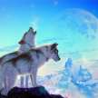 _Tpr