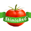 ShimlaRed