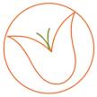 The Plant Concierge