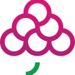 GrapesTech Solutions Pvt. Ltd.