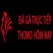 Đá Gà Trực Tiếp Thomo Hôm Nay