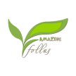 Follus Amazing