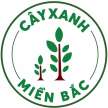 Cây Xanh Miền Bắc