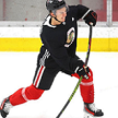 Pro Stride Hockey