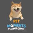 PetMomentsPlayground