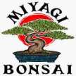 Miyagi Bonsai