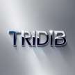 Tridib Borah