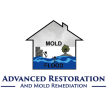 Advances Restoration And Mold