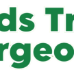 Southend On Sea Tree Surgeon