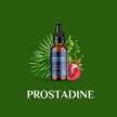Prostadine2000
