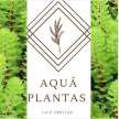 AQUÁ PLANTAS