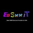 EGSMMIT COM