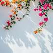 Prateek Mittal