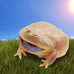Foggy frog