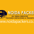 Noida packers