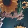 The Sunflower Nana