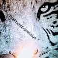 R.V. POEMS - ThePoetsExpression
