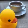 Caffeine Duck