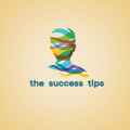 The success tips 