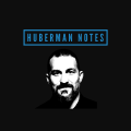 The Huberman Notes