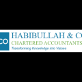 Habibullah & Co.