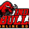 indiabullsbook