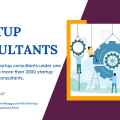 Startup Consultant