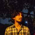 syed ali