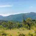 SHAKTHI
