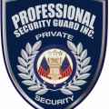 Professional Security Guard