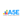 A5E Consulting