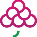 GrapesTech Solutions Pvt. Ltd.