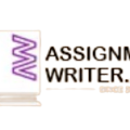 ProfessionalWriter