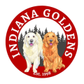 Indiana Goldens