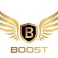 Boost Mobile Detailing