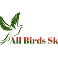 All Bird Sky