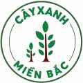 Cây Xanh Miền Bắc