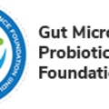 Gut Foundation